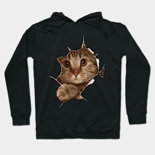 Sweet Kitten Torn Cat Cat Owner Cat Lady Hoodie